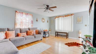 137 Feltham Rd, Springfield, MA 01118 - photo 5