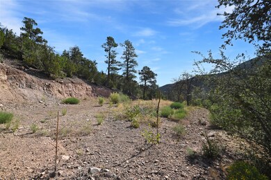 0 Eagle Heights North Tract: 1a1 unit 202503184, Jemez Springs, NM 87025 - photo 5