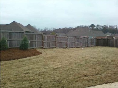 Partial view of backyard