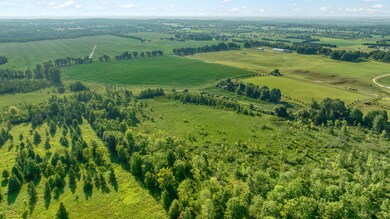 12-web-or-mls-DJI_0979_HDR