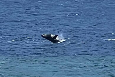 0 Hoolawa Rd unit 11570784, Haiku, HI 96708 - photo 4