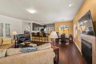 Laminate Living room and hallway