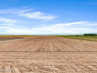 000 S Tweedy Rd, Casa Grande, AZ 85194 - photo 3
