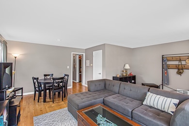 892 S 3rd Ave, Des Plaines, IL 60016 - photo 6