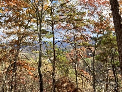 Lot 5 Osprey Mountain Way unit 5, Webster, NC 28779 - photo 4