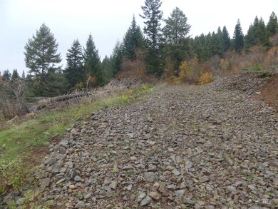 1762 Tranquil Lane (#4), Orofino, ID 83544 - photo 7