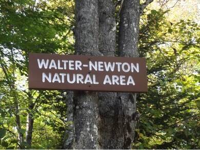 175 Cummings Hill Rd, Plymouth, NH 03264 - photo 4