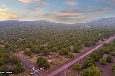 2409 E New Moon Way, Red Lake, AZ 86046 - photo 2
