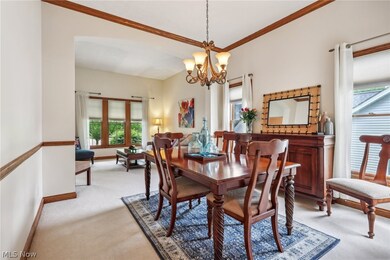 Carpeted dining area featuring a chandelier, crown molding and chair rail.