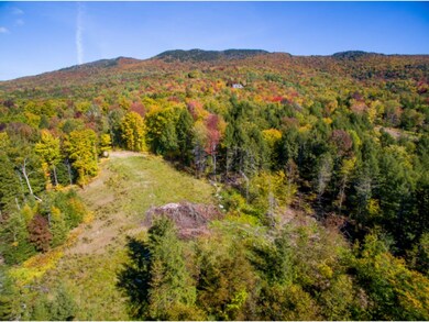 View from Lot 5