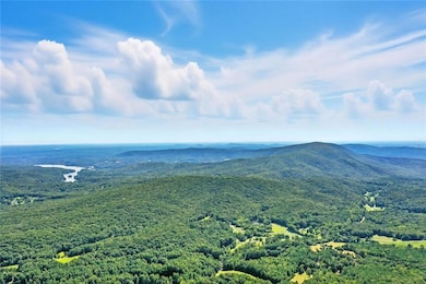 0 Debord Dr unit 7641111, Waleska, GA 30183 - photo 3