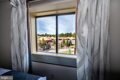 290 Marsh Hill Rd unit 501L, Mc Henry, MD 21541 - photo 7