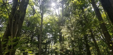 116693195_860825800991589_72852573946807