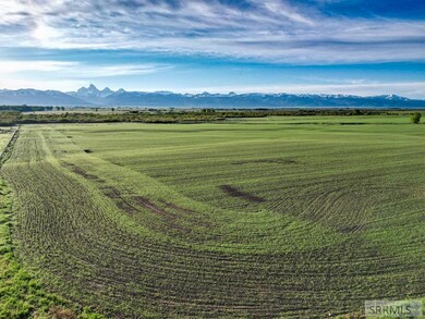 Spring Fields
