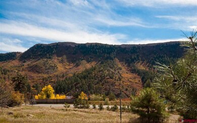 0 Sortais Rd unit 699433, Durango, CO 81301 - photo 3