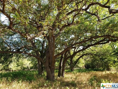 TBD Gruene Rd, New Braunfels, TX 78130 - photo 4