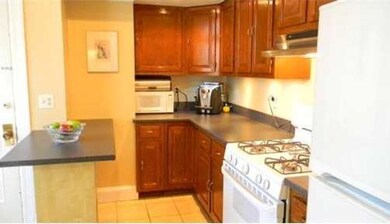 313 Tappan St unit 1, Brookline, MA 02445 - photo 4