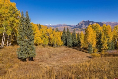 794 Red Mountain Ranch Lower Loop, Crested Butte, CO 81224 - photo 4