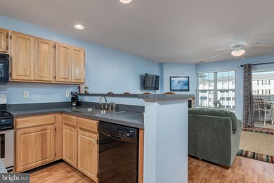 Sanibel Village unit 3418, Rehoboth Beach, DE 19971 - photo 3