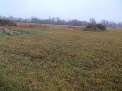 Xxx Jay Dr, Neosho, MO 64850 - photo 2