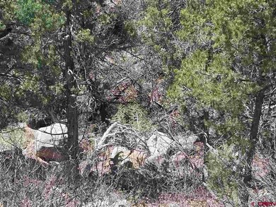 0 San Juan Vista Rd unit 730824, Cedaredge, CO 81413 - photo 2