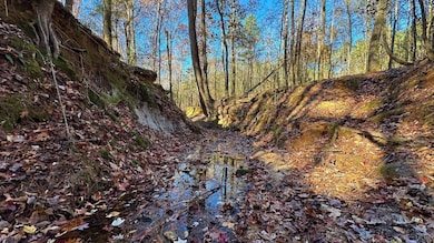 0 Oscar Walton Rd unit 24714036, Tignall, GA 30668 - photo 3