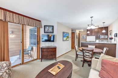 4920 N Landmark Cir unit 2208, Egg Harbor, WI 54209 - photo 6