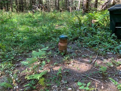 18520 250th Ave E, Orting, WA 98360 - photo 3