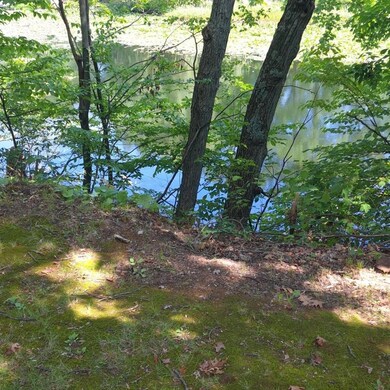 0 W Bachelor Rd, Angola, IN 46703 - photo 5