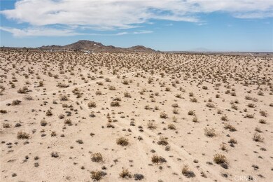 1234 Sunever Rd, Joshua Tree, CA 92252 - photo 6