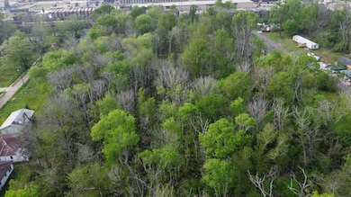 3608 Thomasina Rd, Alexandria, LA 71302 - photo 6