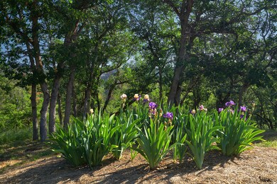 1800 S Obenchain_adds_mls_09