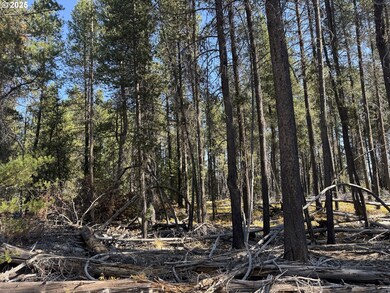 0 Cloudcap Dr unit 6, Chiloquin, OR 97624 - photo 3