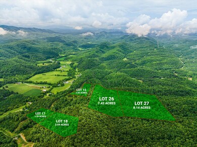 01-4443-Jones-Cove-Rd-Cosby-TN-1