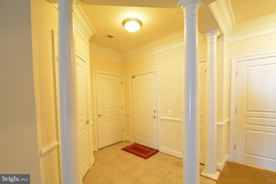 7871 Rolling Woods Ct unit 101, Springfield, VA 22152 - photo 4