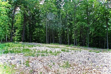 0 Welcome Hill Rd unit 4809956, Chesterfield, NH 03466 - photo 6