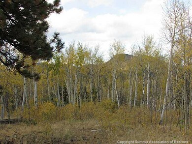 2691 Mcdowell Dr, Como, CO 80432 - photo 7