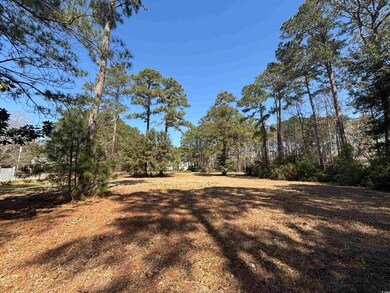 View of yard with a view of trees
