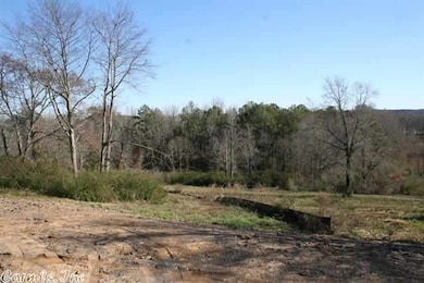 3795 Donnell Ridge Rd, Conway, AR 72034 - photo 5