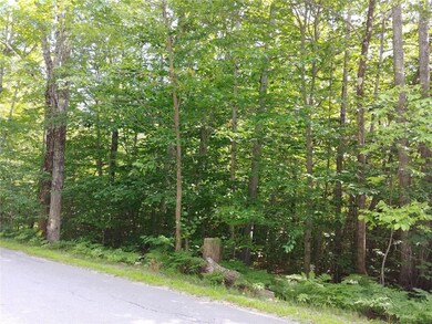 Woods