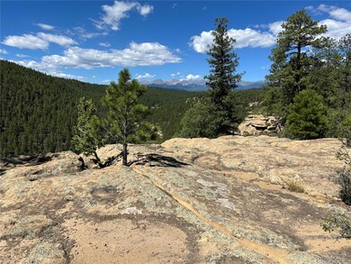 14200 County Rd 28 8, Weston, CO 81091 - photo 5