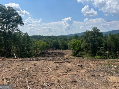 2055 Blacks Bluff Rd SW, Rome, GA 30161 - photo 4