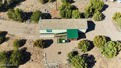 8102 White Mountain Lake Rd, Show Low, AZ 85901 - photo 7