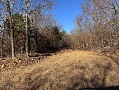 47760 Conser Creek Rd, Heavener, OK 74937 - photo 4