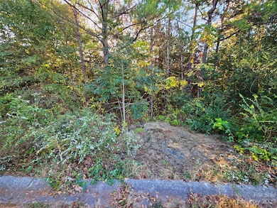 0 General Griffith Cir unit 25, Rutherfordton, NC 28139 - photo 7