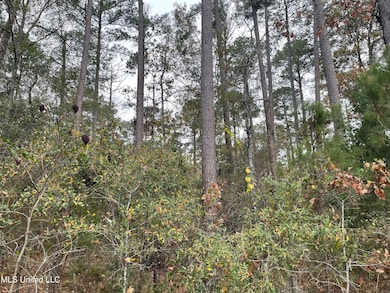 No Old Fannin Rd, Jackson, MS 39232 - photo 4