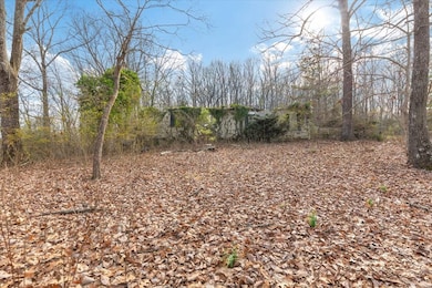 13 acres Percheron Dr NW, Dalton, GA 30720 - photo 7