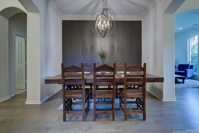 430 Sand Ash Trail, San Antonio, TX 78256 - photo 4