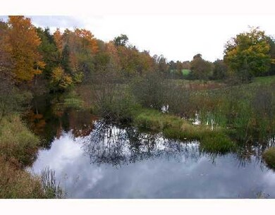 Other. Bog Brook
