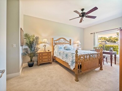 21703 Belgian Ct, Mount Dora, FL 32757 - photo 6